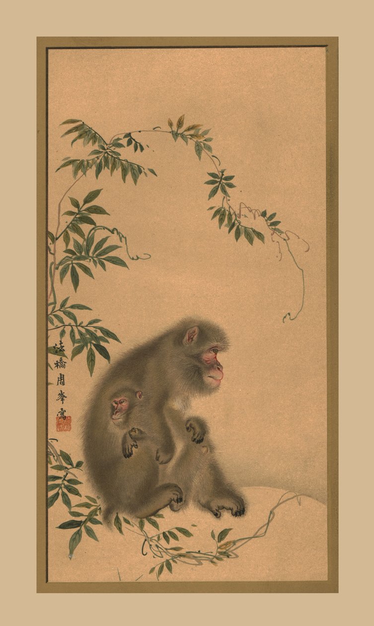 Monkey, 1800-tallet, 1886 av Unbekannt