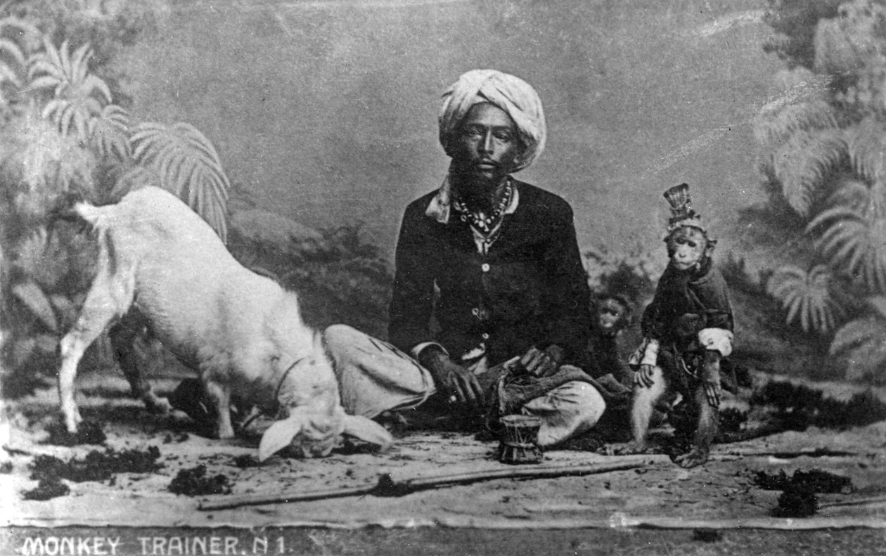 Apetrener, India, 1900-tallet av Unbekannt