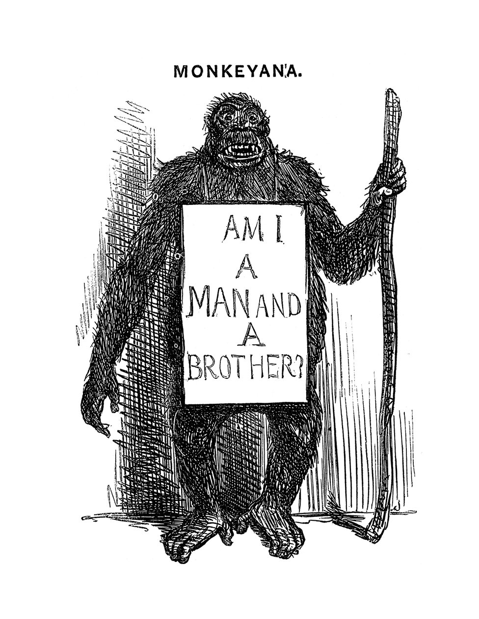 Monkeyana: Er jeg en mann og en bror, 1861 av Unbekannt