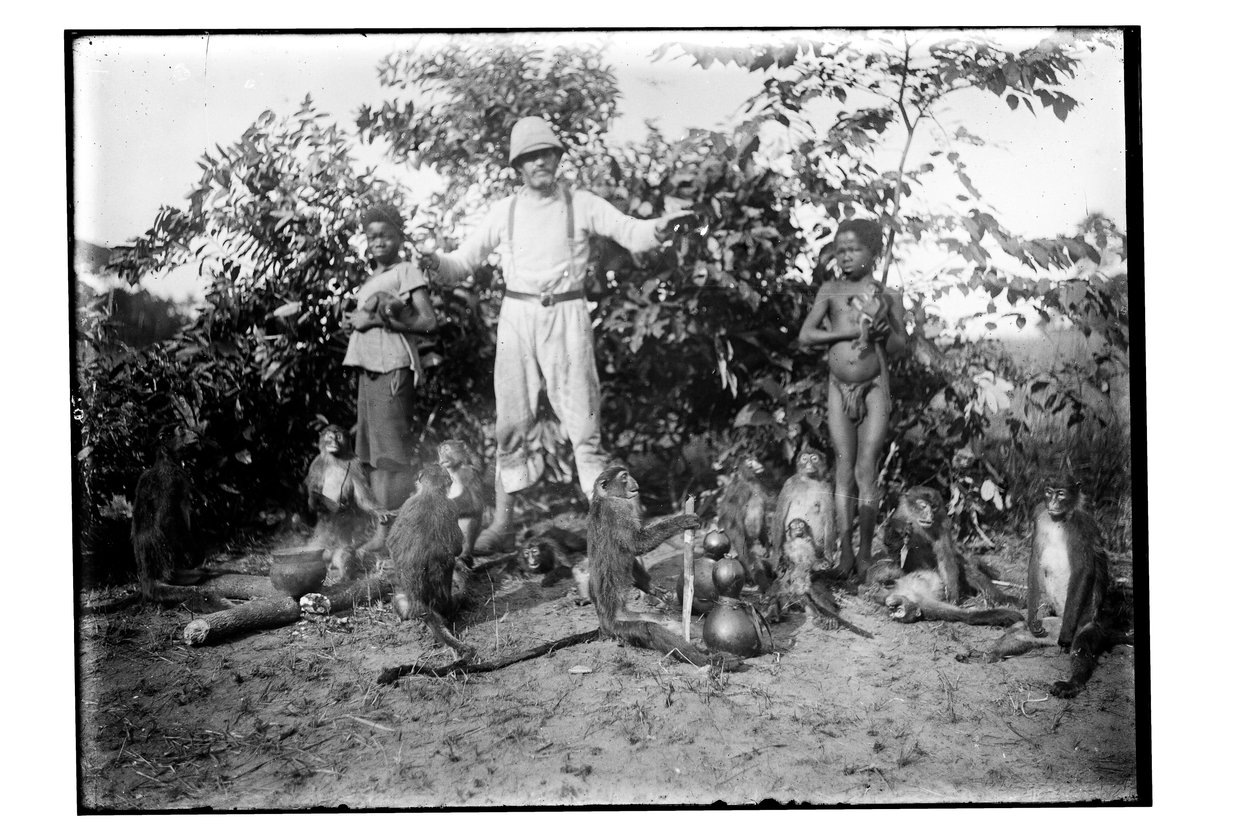 Aper, ca. 1910 (s/hvitt-bilde) av Unbekannt