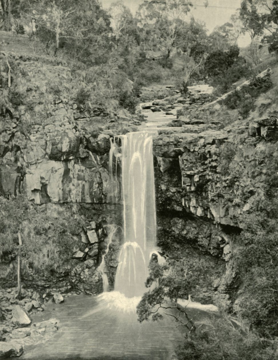 Moorabool Falls, Victoria, 1901. av Unbekannt