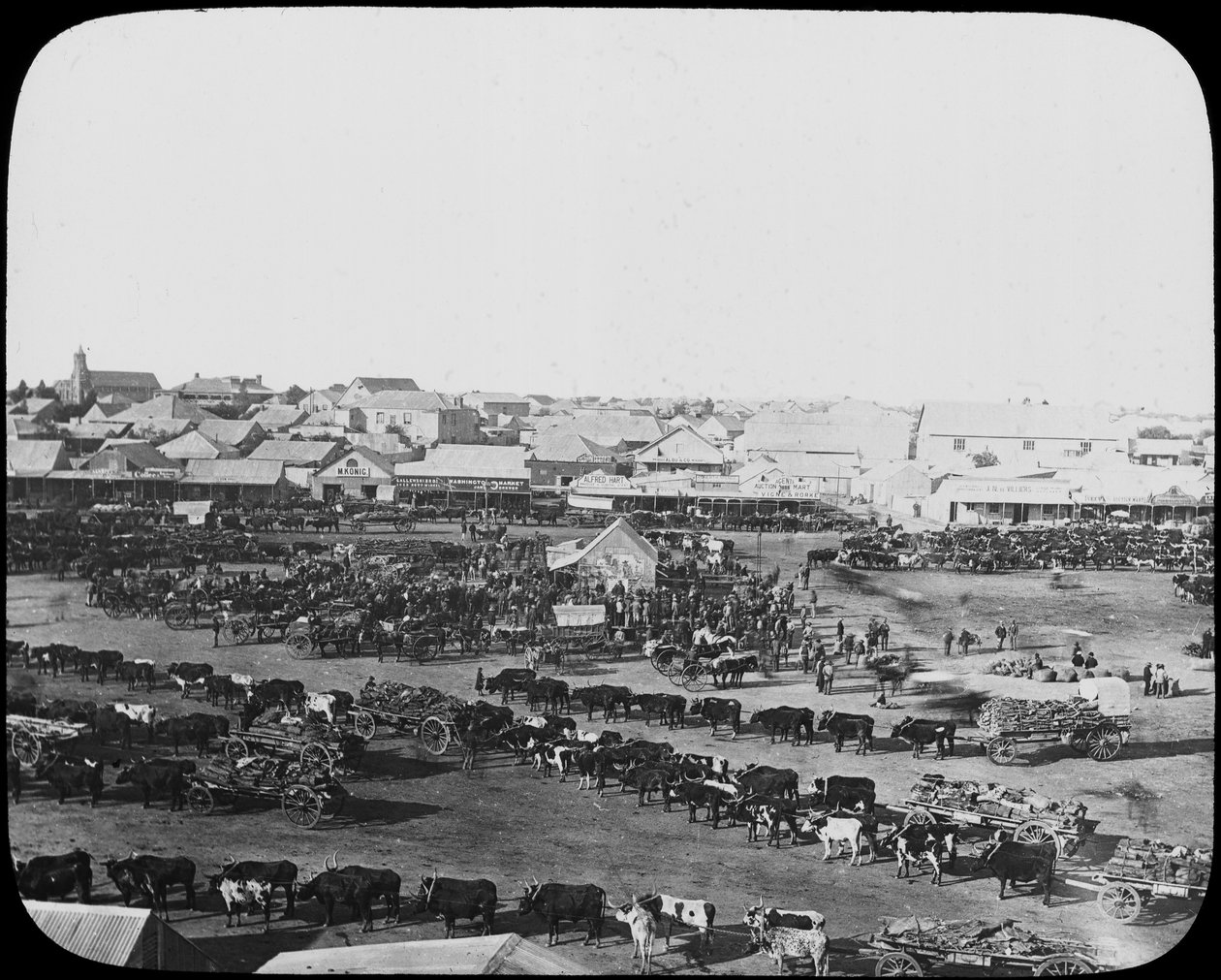 Morgenmarked, Kimberley, Sør-Afrika, c1890 av Unbekannt