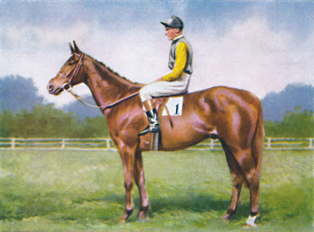 Morsekode, Jockey: D. Morgan, 1939 av Unbekannt