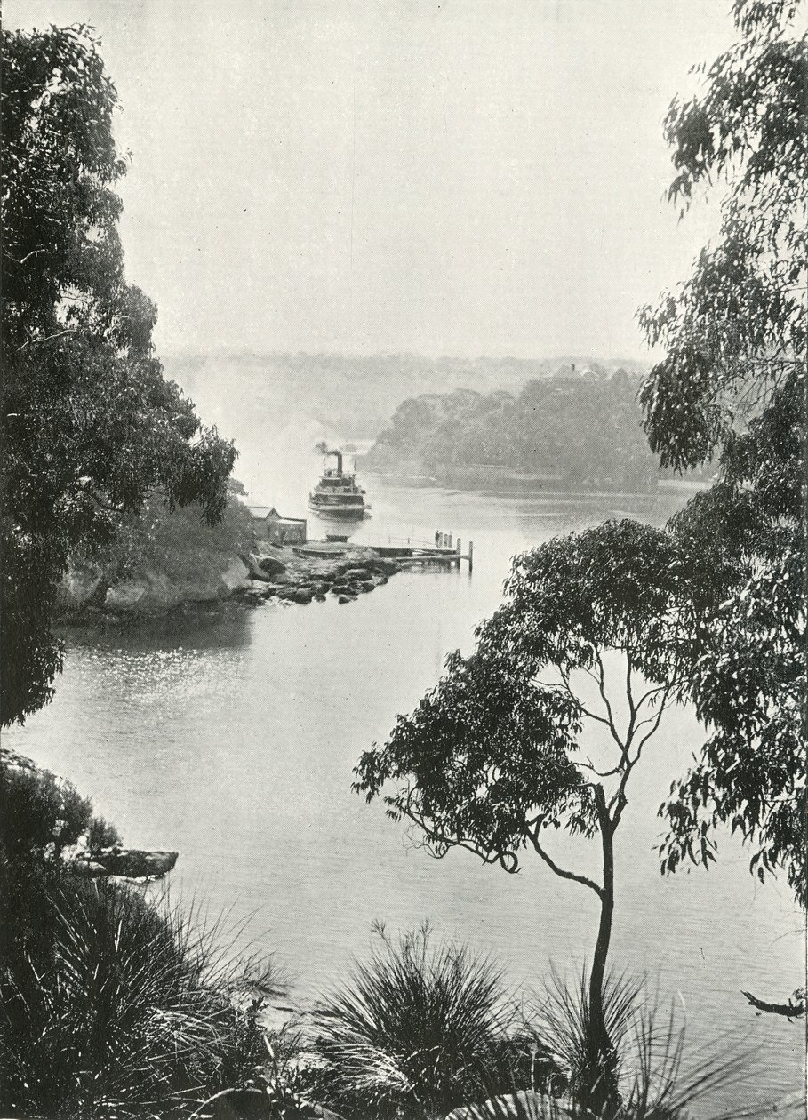 Mosmans Bay, fra Cremorne Jetty, c1900. av Unbekannt