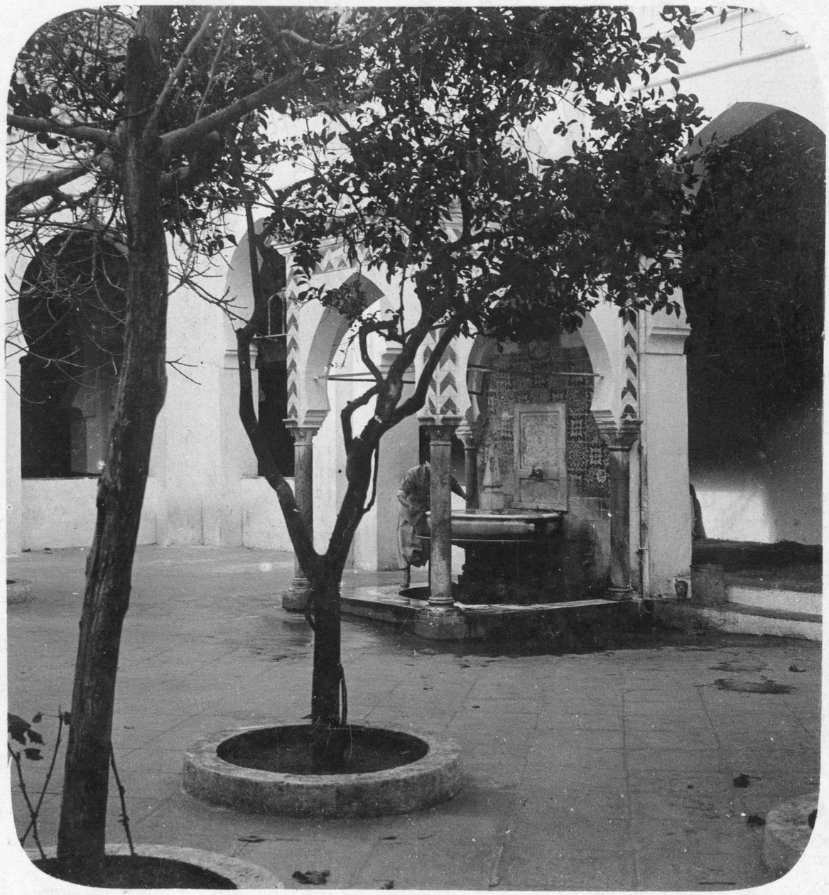 Moskefontene, Alger, Algerie, slutten av 1800- eller begynnelsen av 1900-tallet av Unbekannt