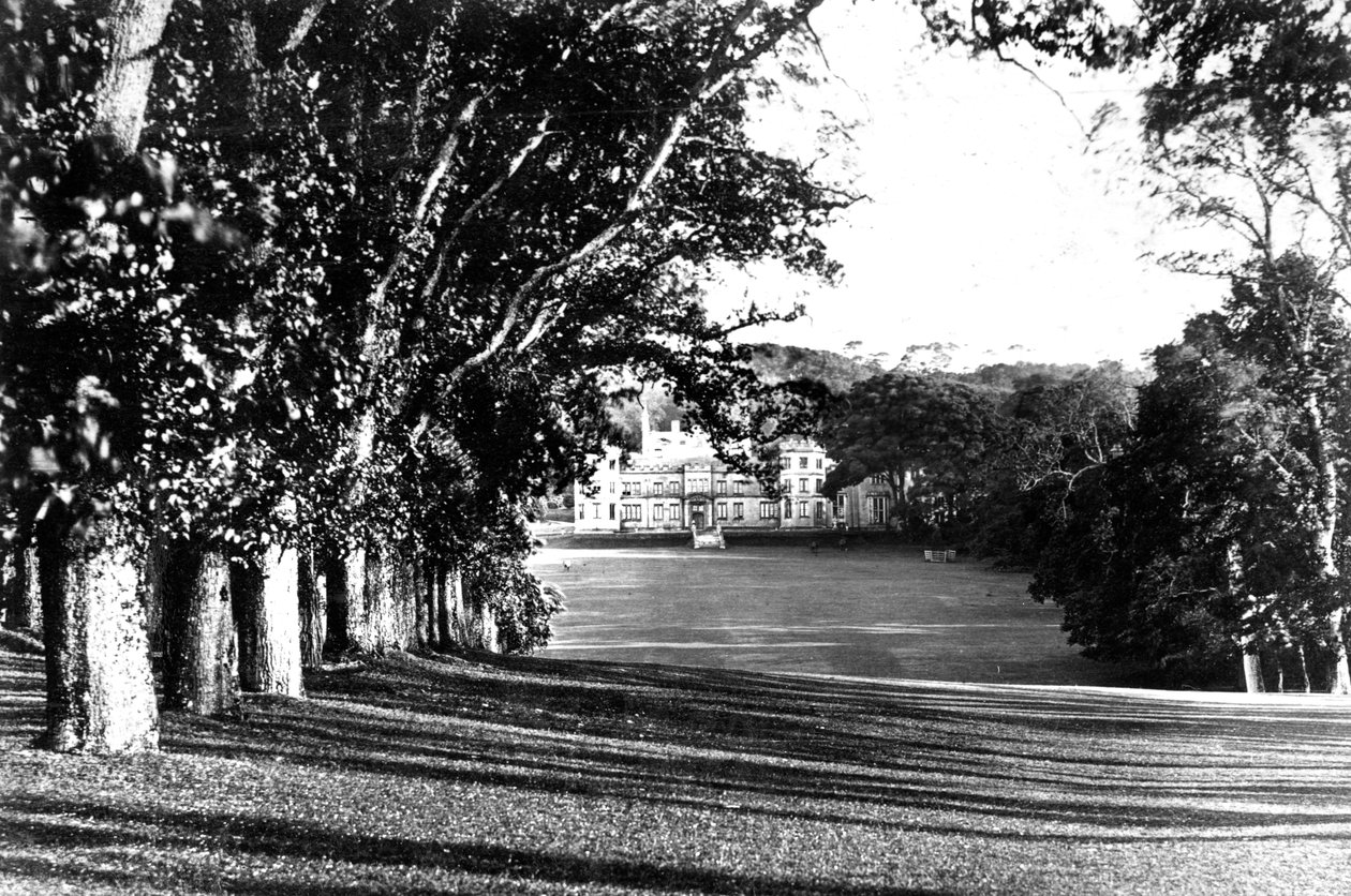 Mount Edgcumbe, c1882 av Unbekannt