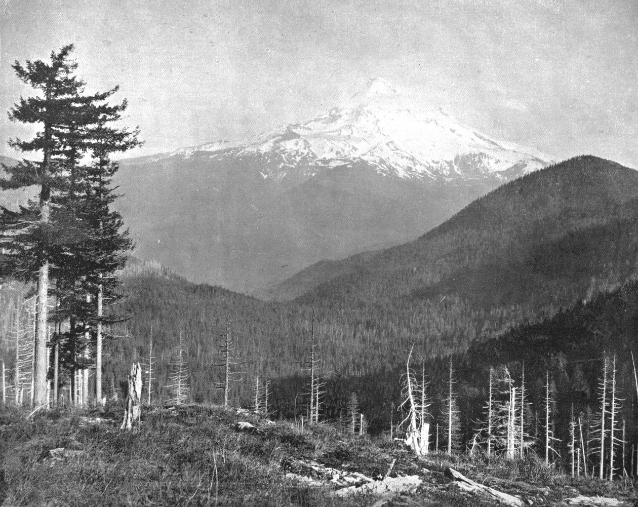 Mount Hood, Oregon, USA, c1900. av Unbekannt