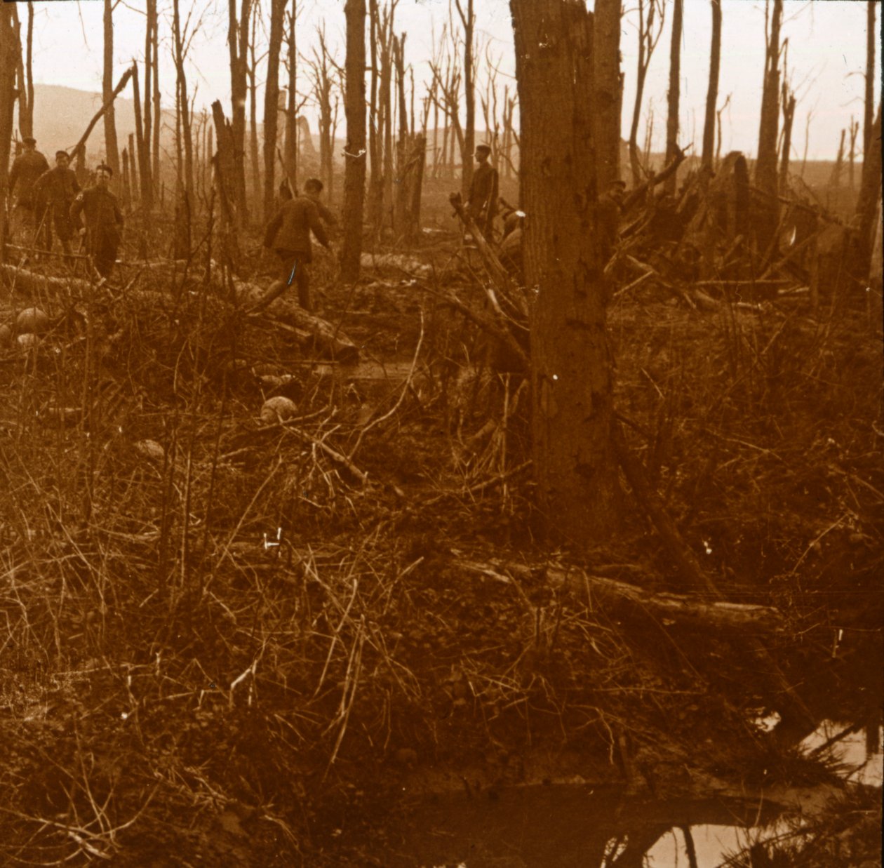 Mount Kemmel, Flandern, Belgia, c1914-c1918 av Unbekannt