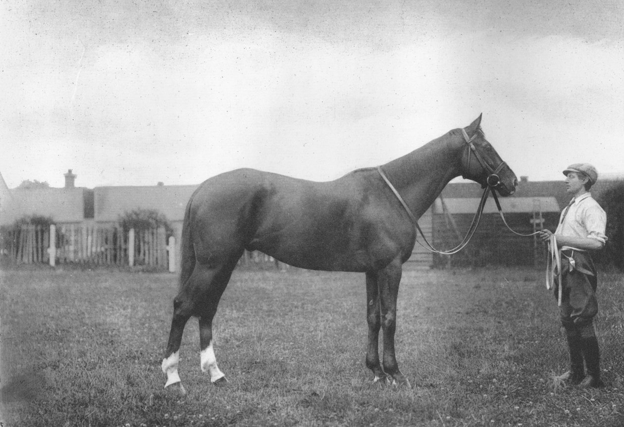 Mount Prospects Fortune, 1911 av Unbekannt