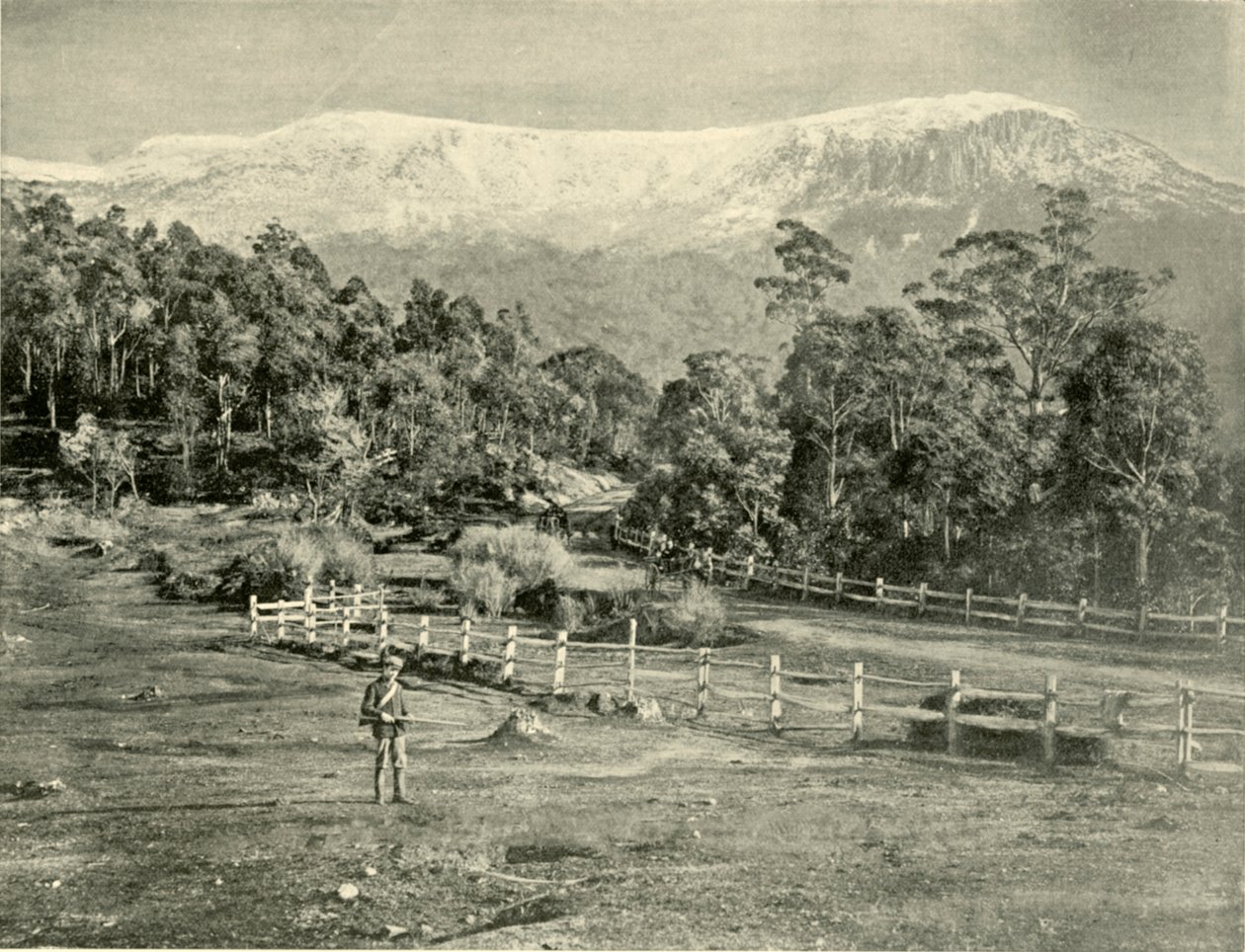 Mount Wellington, fra Huon Road, 1901. av Unbekannt