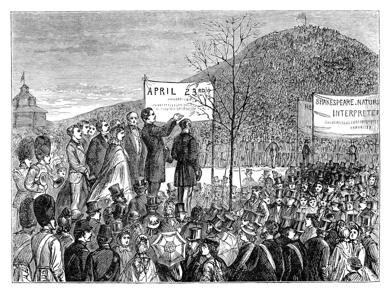 Mr Phelps plantet Shakespeares Oak ved Primrose Hill, London, 1864 sent på 1800-tallet av Unbekannt