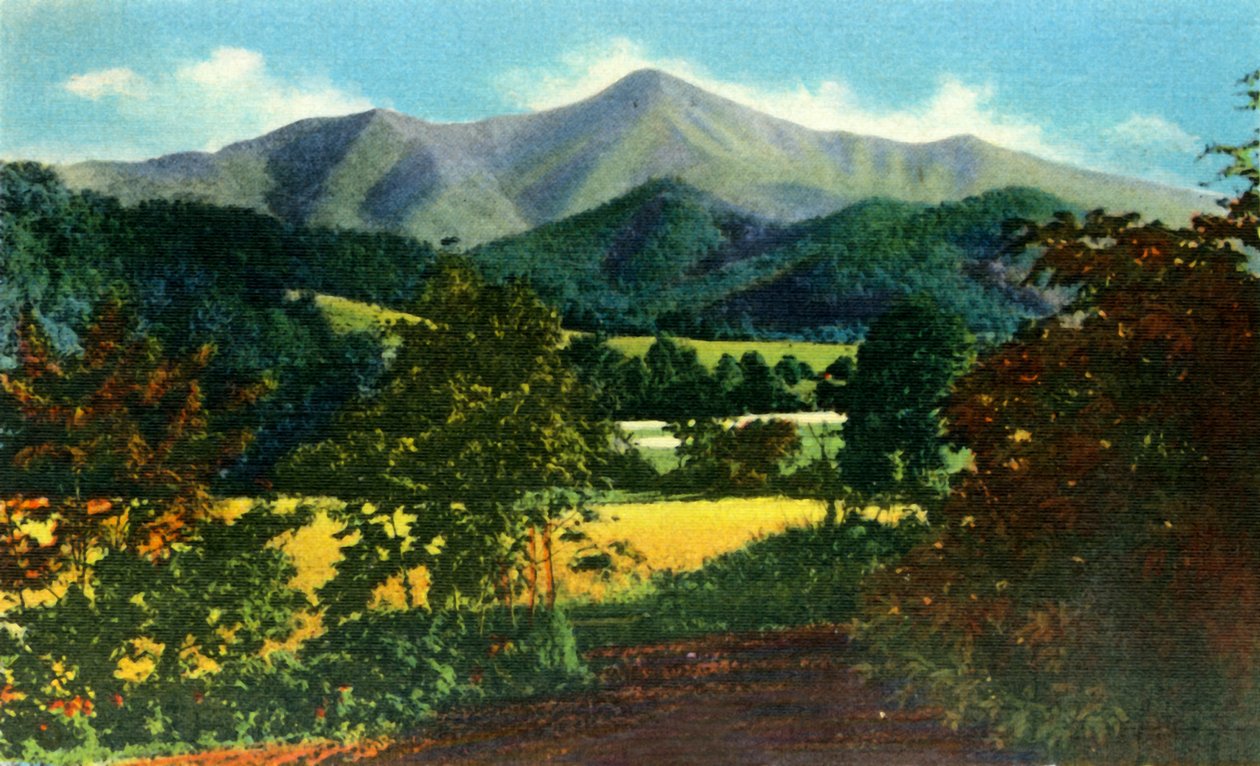 Mr. Pisgah, and the Rat in the Distance, Western North Carolina, 1942. av Unbekannt