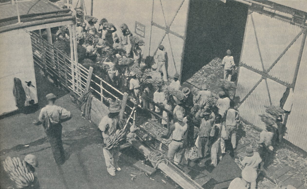 Innfødte laster bananer i Kingston, Jamaica, synger skotske salmer, 1937 av Unbekannt