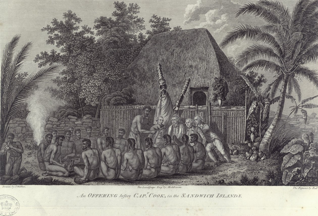 Innfødte fra Sandwichøyene, Hawaii, slakter svin før Captain Cook, c1778 av Unbekannt