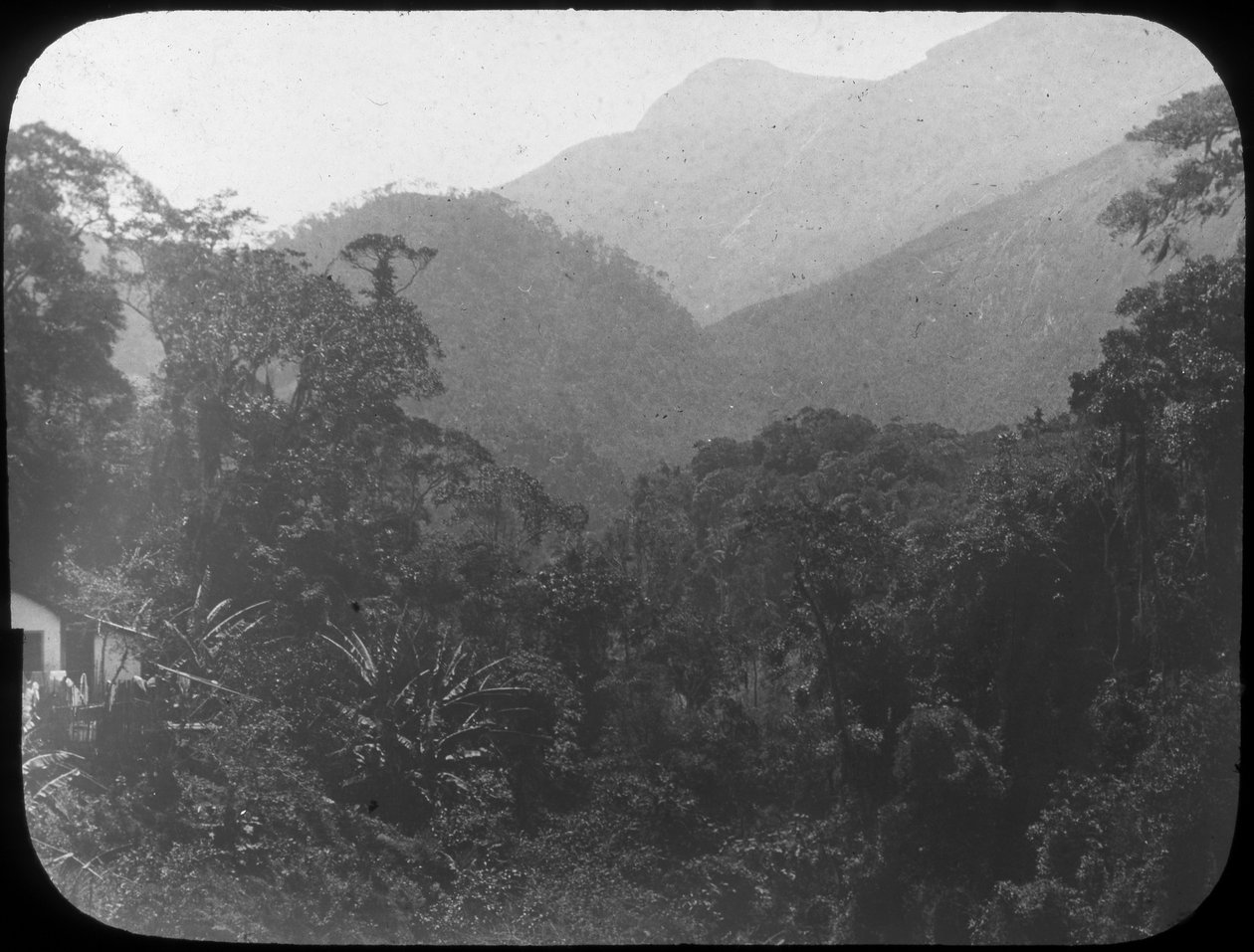 Nær Petrópolis, Rio de Janeiro, Brasil, slutten av 1800- eller begynnelsen av 1900-tallet av Unbekannt