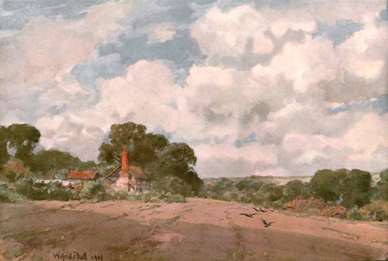 Nær Hogsback, Surrey, 1901. av Unbekannt