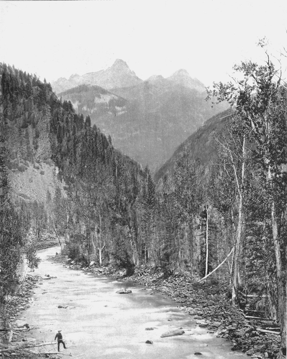 Needle Mountains, Canyon i Rio de las Animas, Colorado, USA, c1900. av Unbekannt