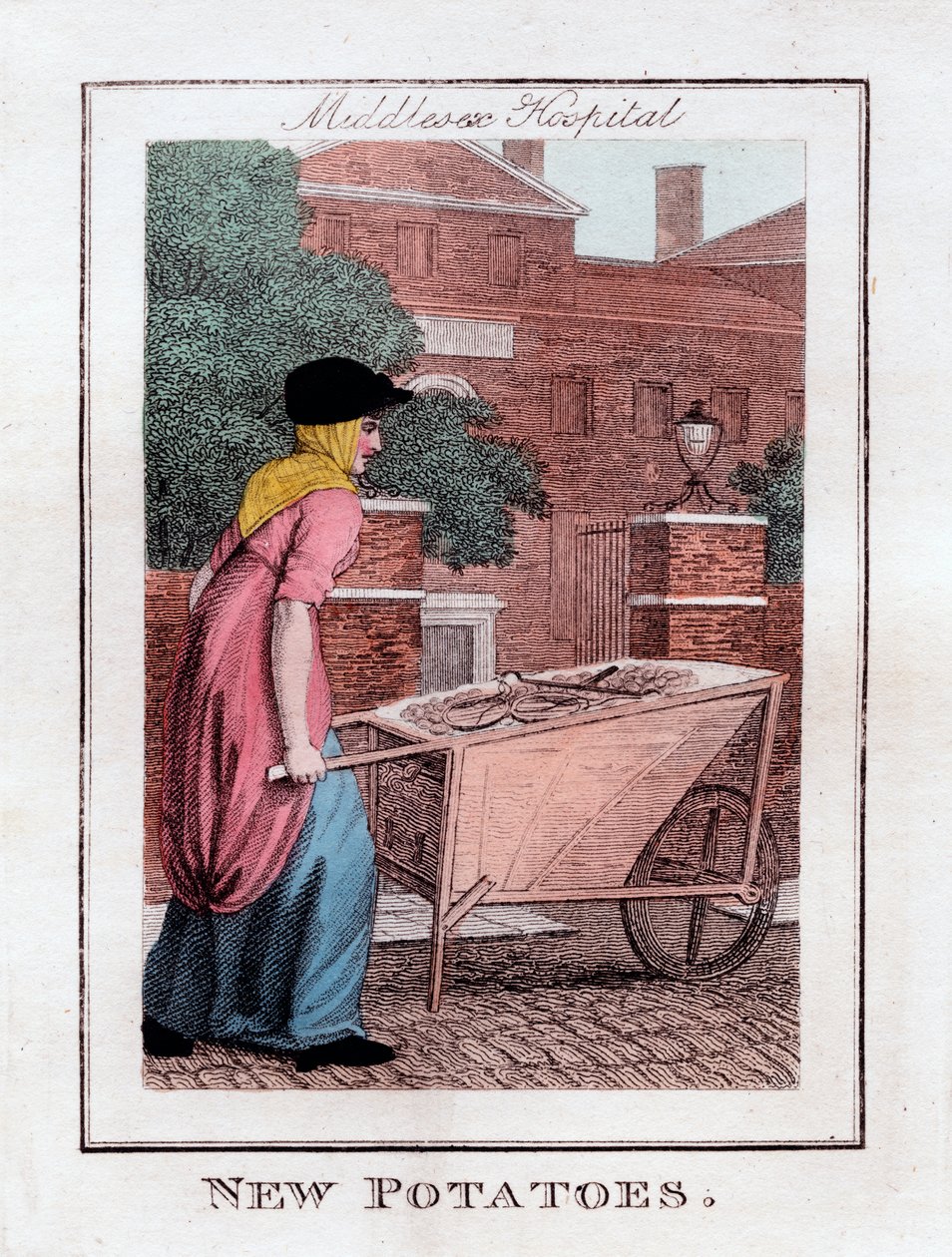 New Potatoes, Middlesex Hospital, London, 1805 av Unbekannt