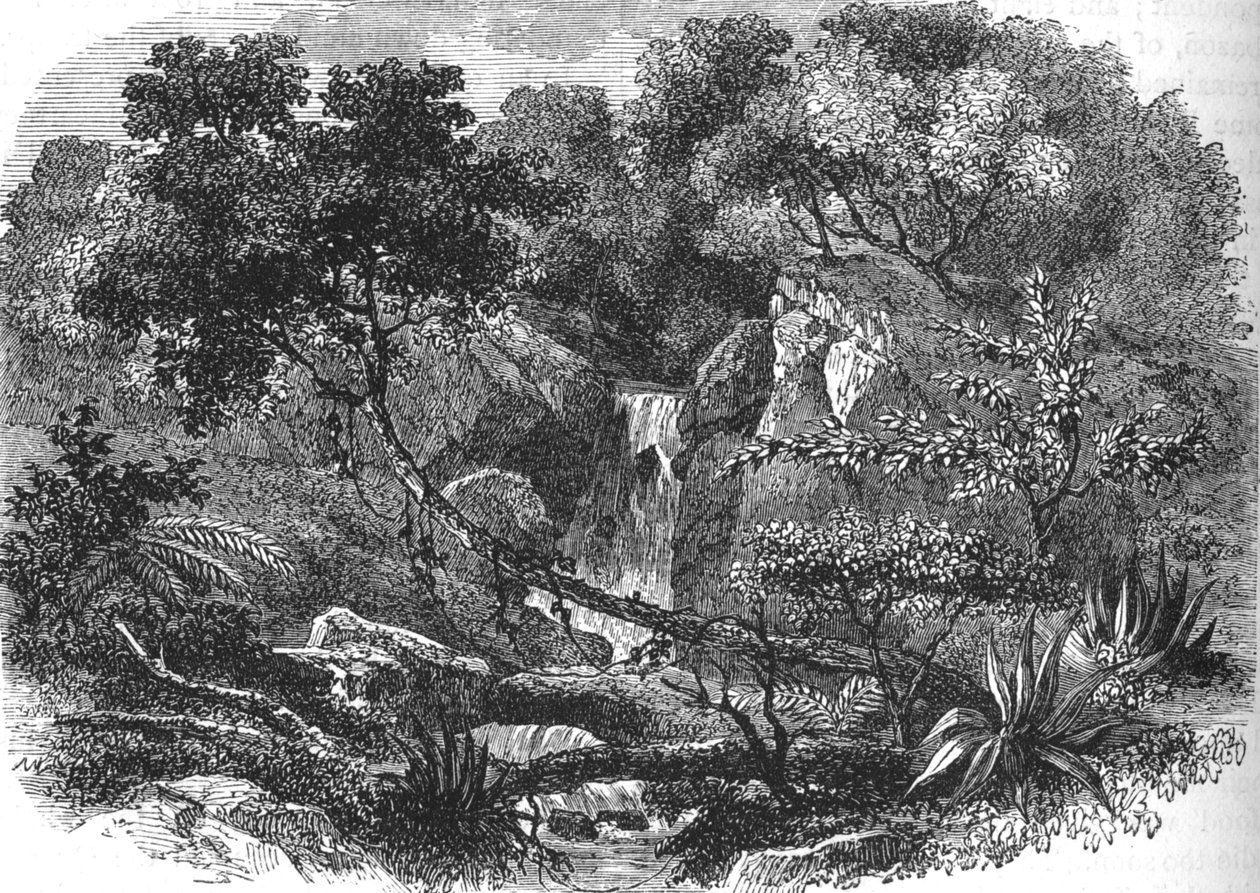New Zealand landskap, ca 1880 av Unbekannt
