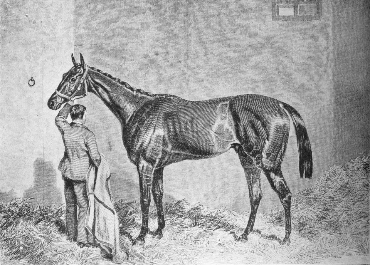 Newminster, 1848-1868, 1911 av Unbekannt