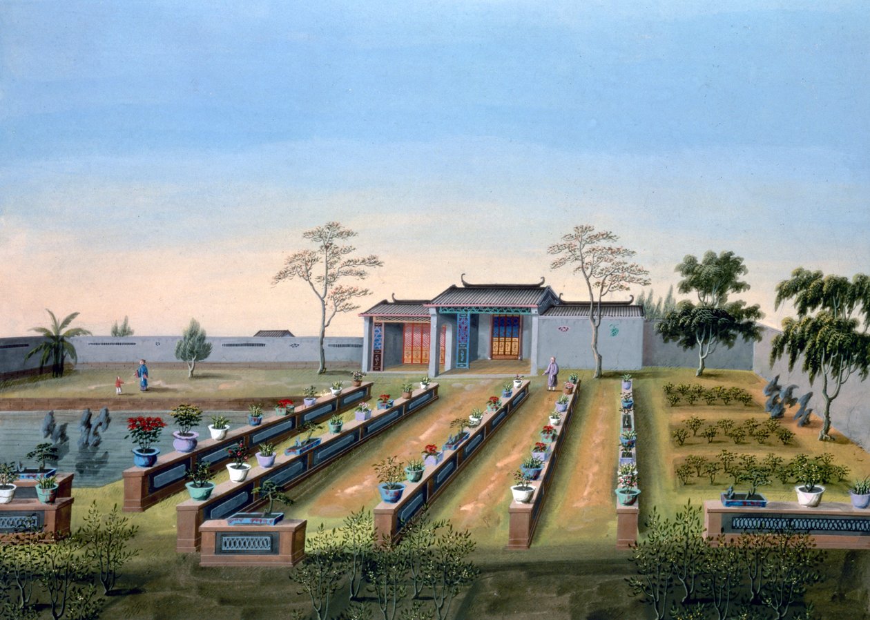 Barnehage, Kina, c1820-1840 av Unbekannt