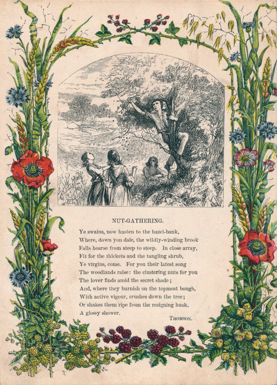 Nut-Gathering, av Thomson, c1900 av Unbekannt