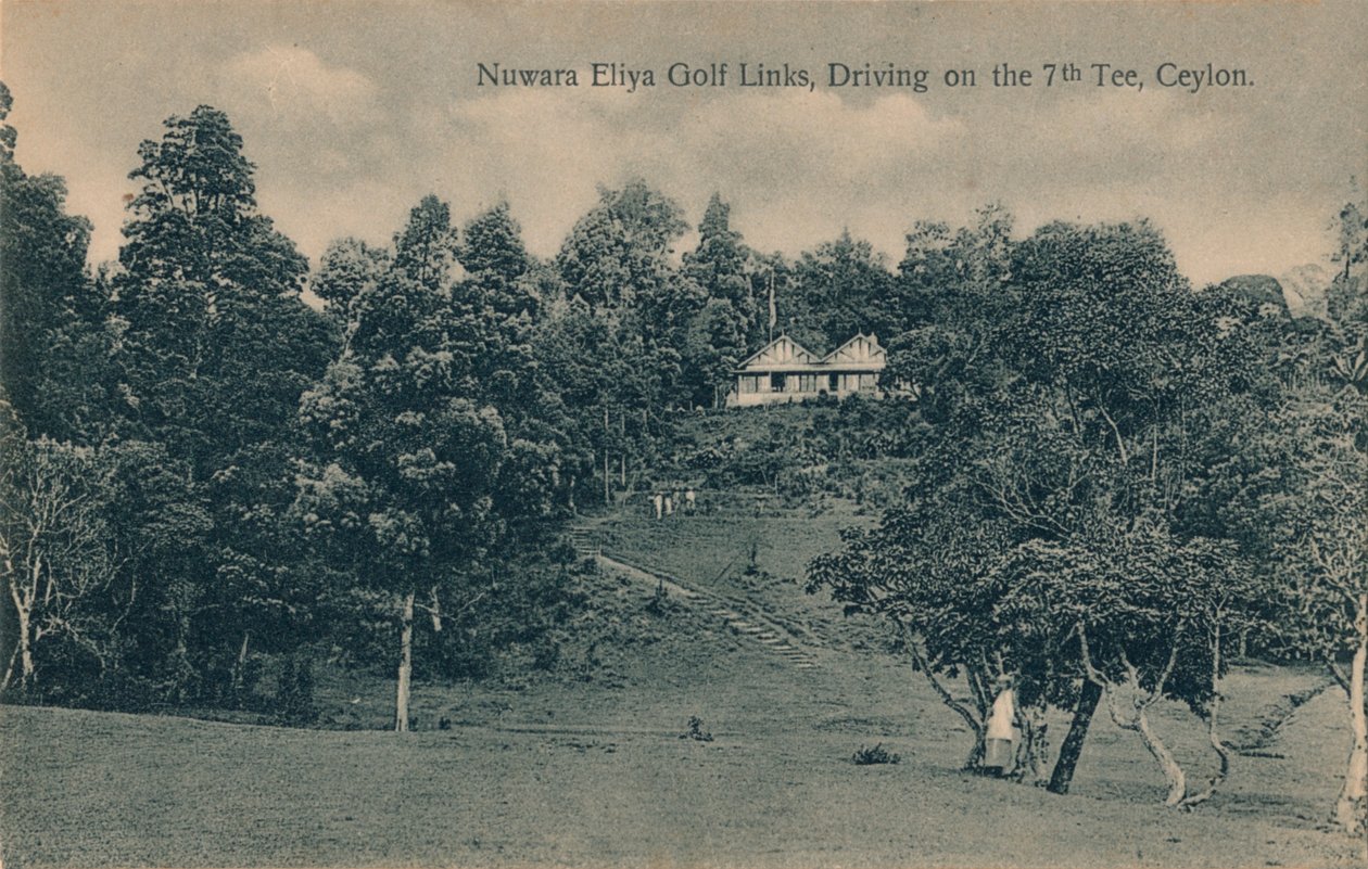 Nuwara Eliya Golf Links, Driving on the 7th Tee, Ceylon, c1900 av Unbekannt