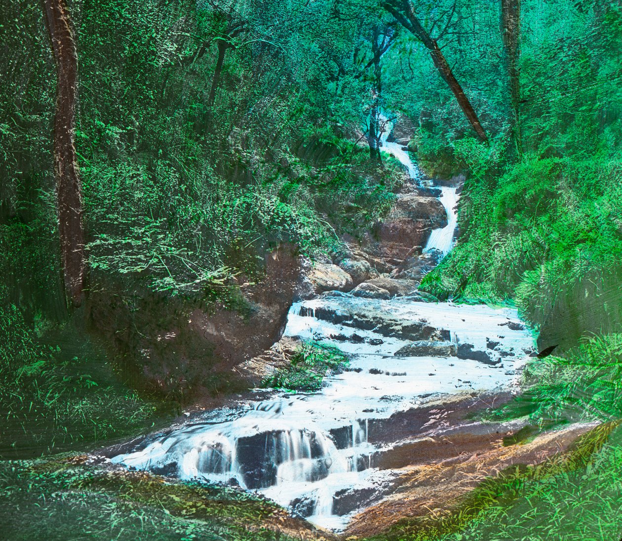 OSullivans Cascade, Killarney, c1910 av Unbekannt