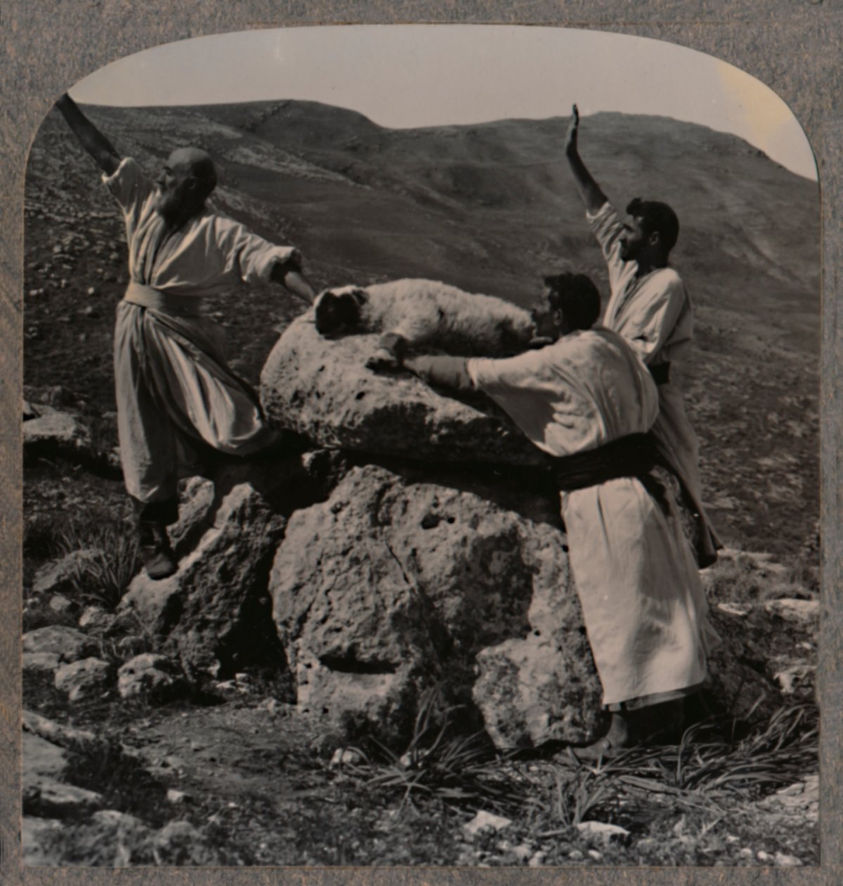 Ofring av lam på alteret, Moreh, ca 1900 av Unbekannt