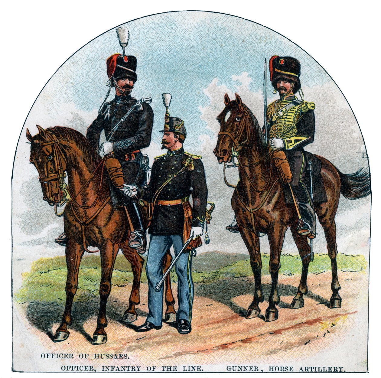 Offiser for husarer, offiser, infanteri av linjen, skytter, hesteartilleri, 1800-tallet av Unbekannt