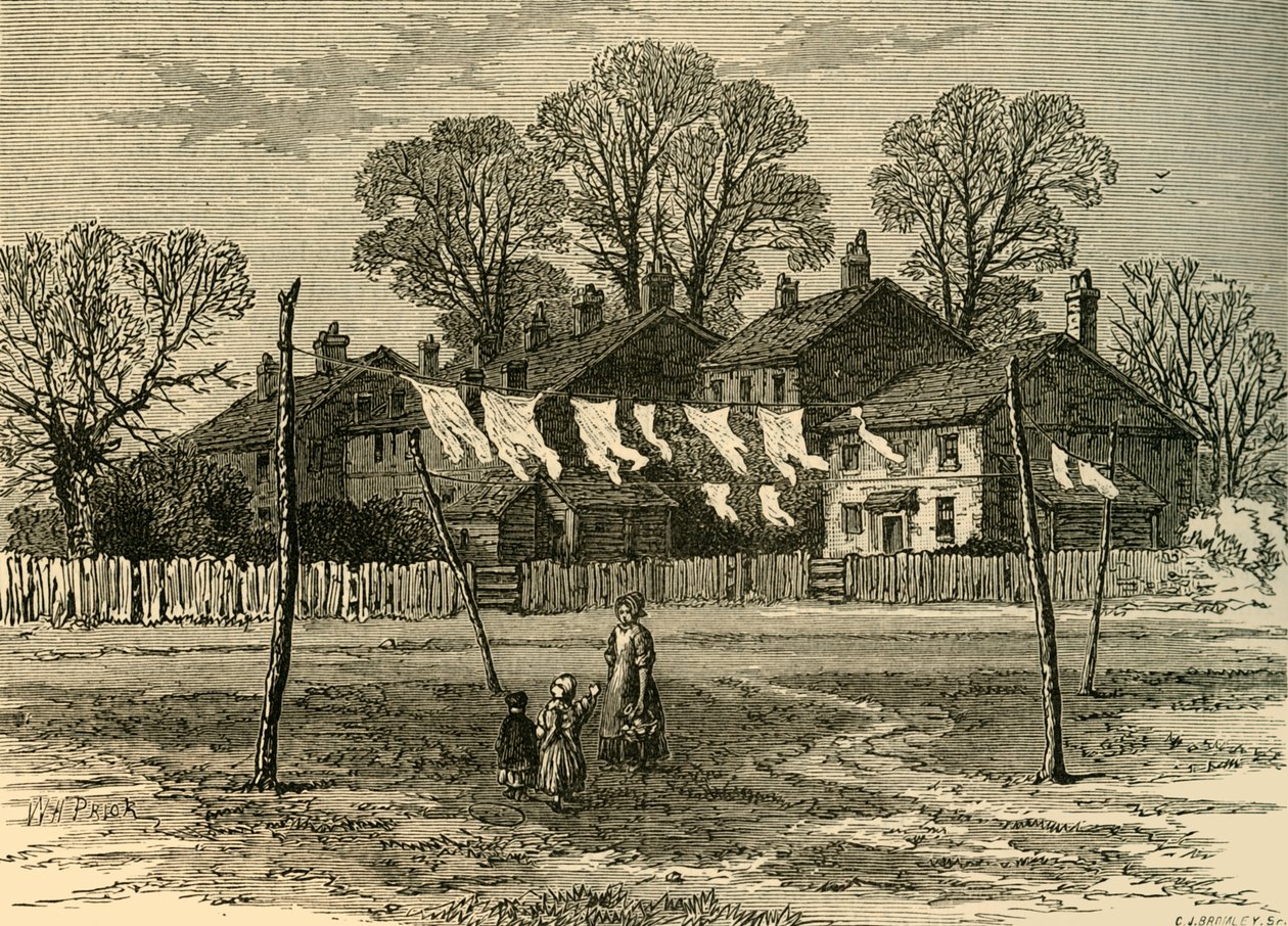 Old Cottages on Back Common, c1878. av Unbekannt