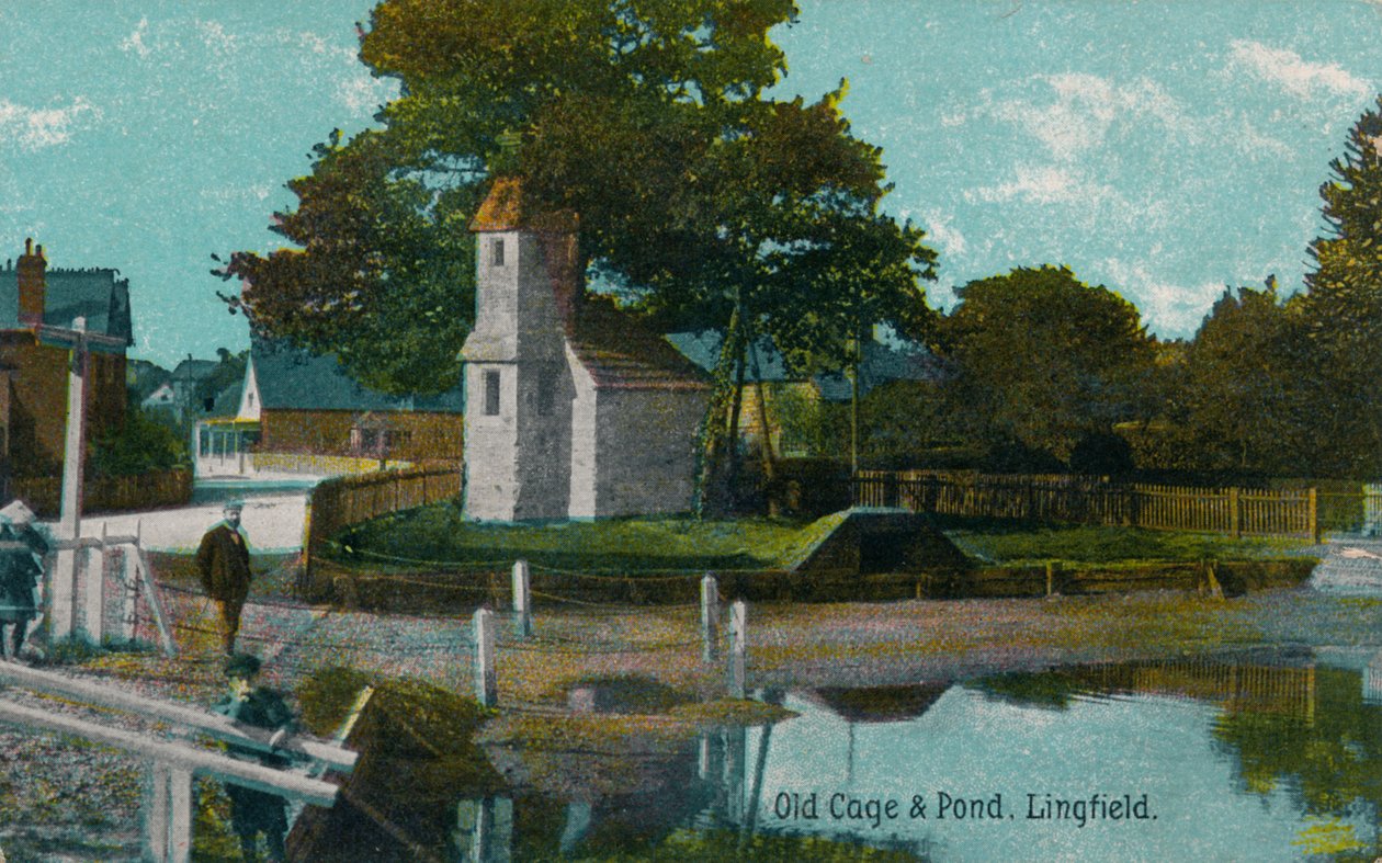 Gammelt bur og dam, Lingfield, Surrey, c1905 av Unbekannt