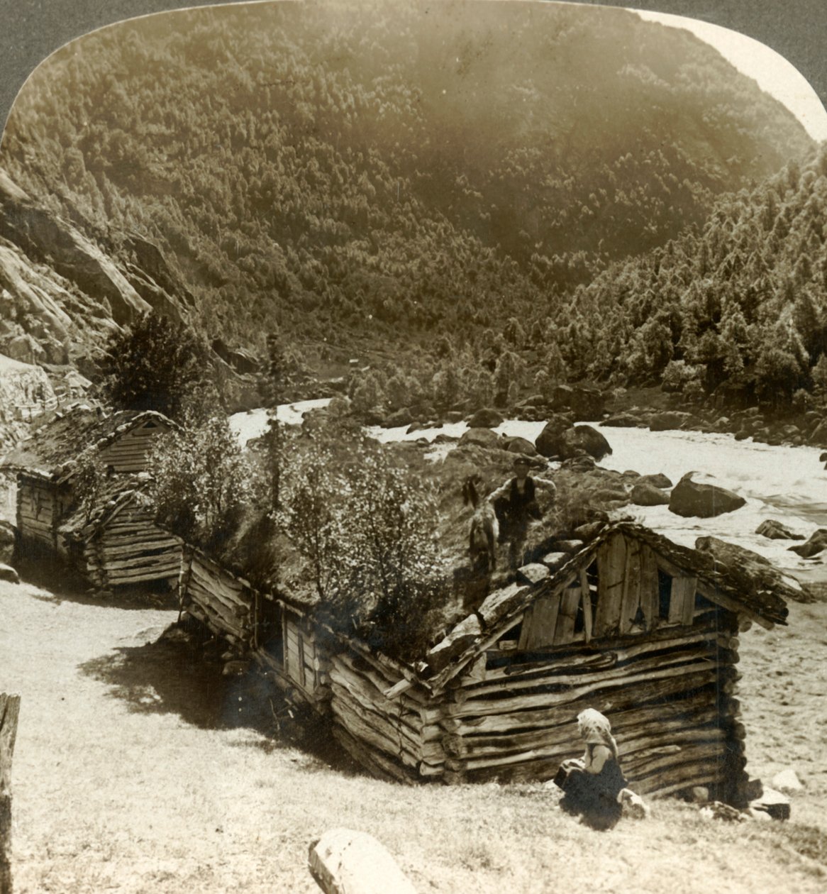 Gamle tømmerhus i Bratslandsdal, med trær som vokser på torvdekkede tak, Norge, c1905. av Unbekannt
