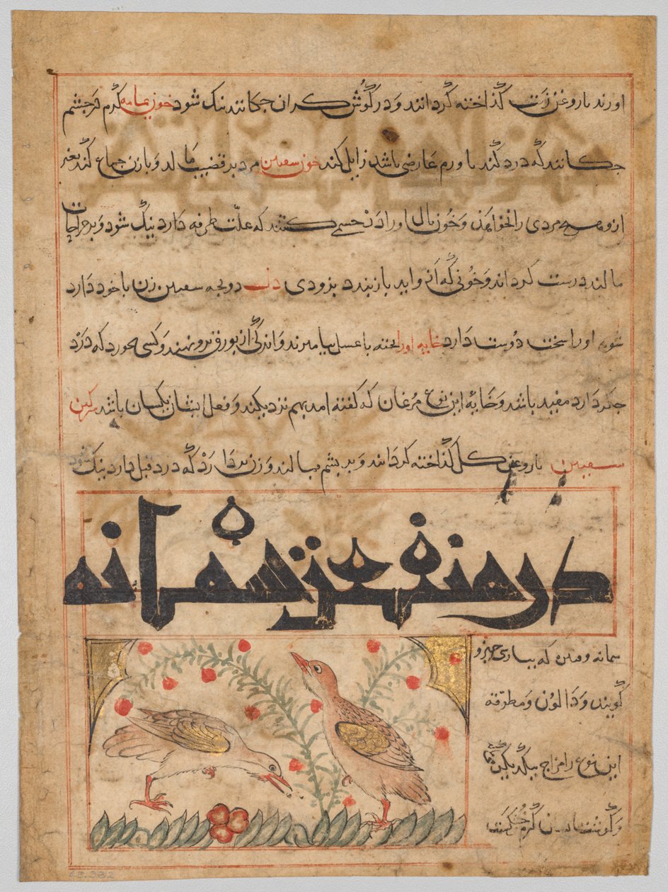 On the Benefits of Quails verso fra en Manafi al-Hayawan..., ca. 1300. av Unbekannt