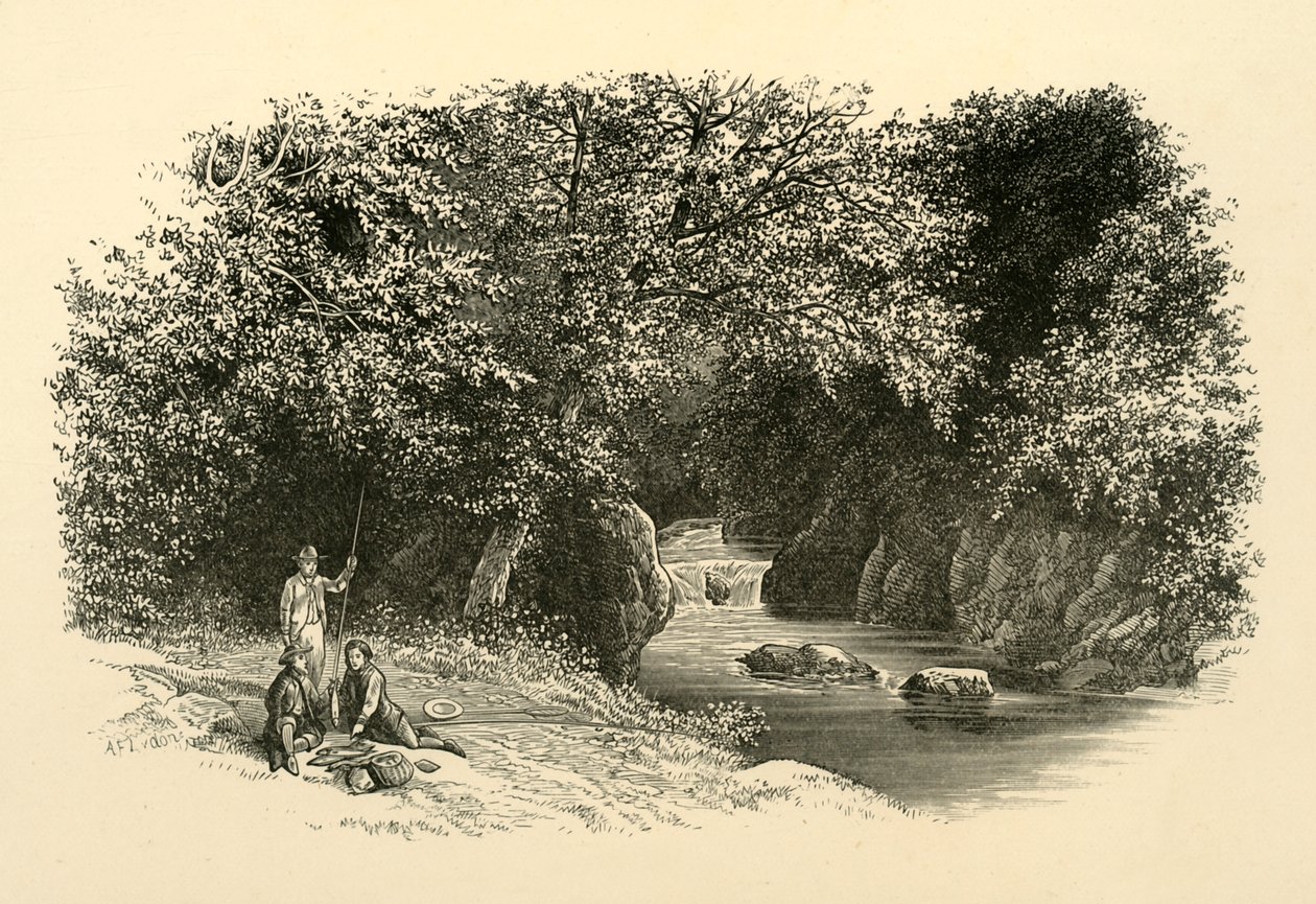 On the Dargle, c1890. av Unbekannt