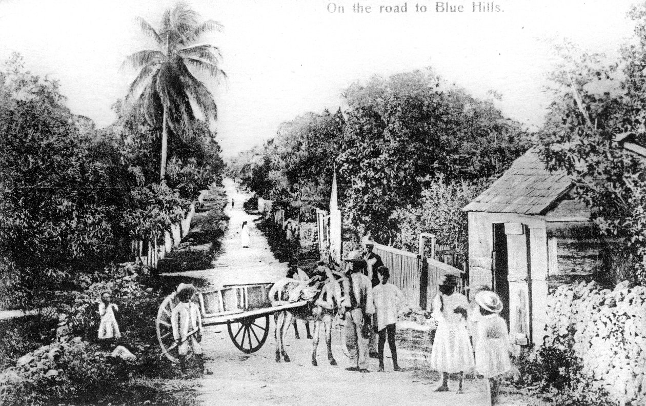 På veien til Blue Hills, Bahamas, ca 1900-tallet av Unbekannt