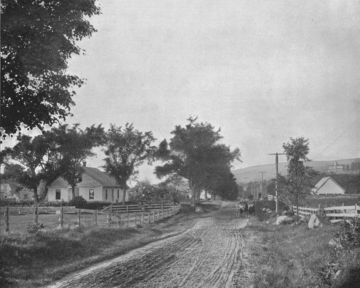 På veien til Echo Lake, White Mountains, New Hampshire, USA, c1900. av Unbekannt