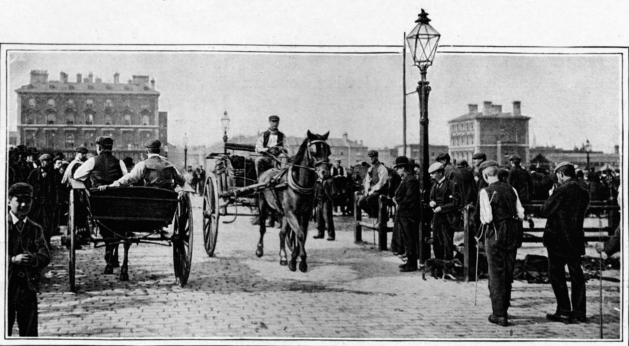 På steinene, Islington Cattle Market, London, c1902 1903 av Unbekannt