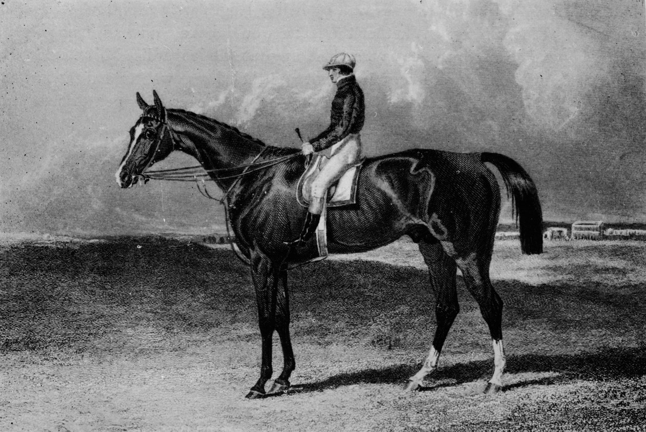 Orlando, c1841-1860, 1911 av Unbekannt