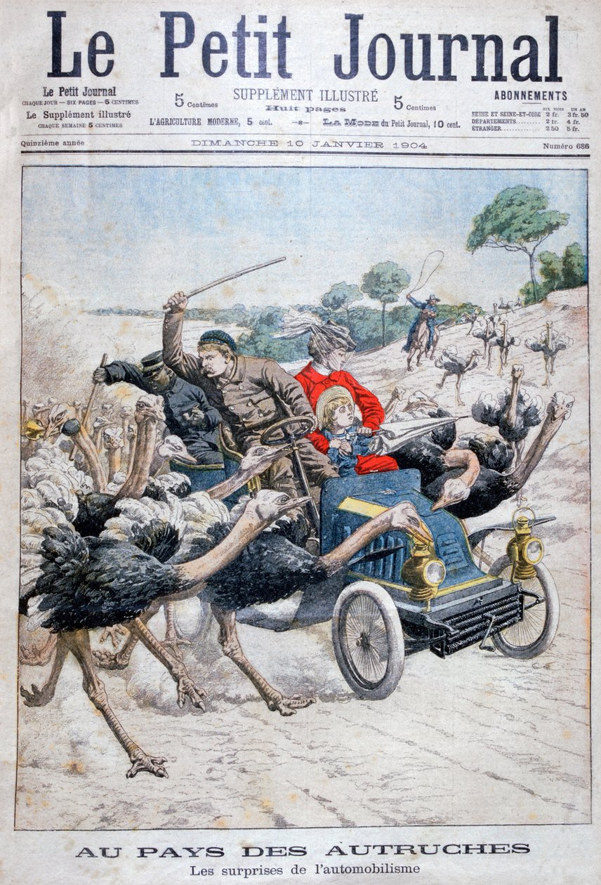 Strutser angriper en bil, California, USA, 1904 av Unbekannt