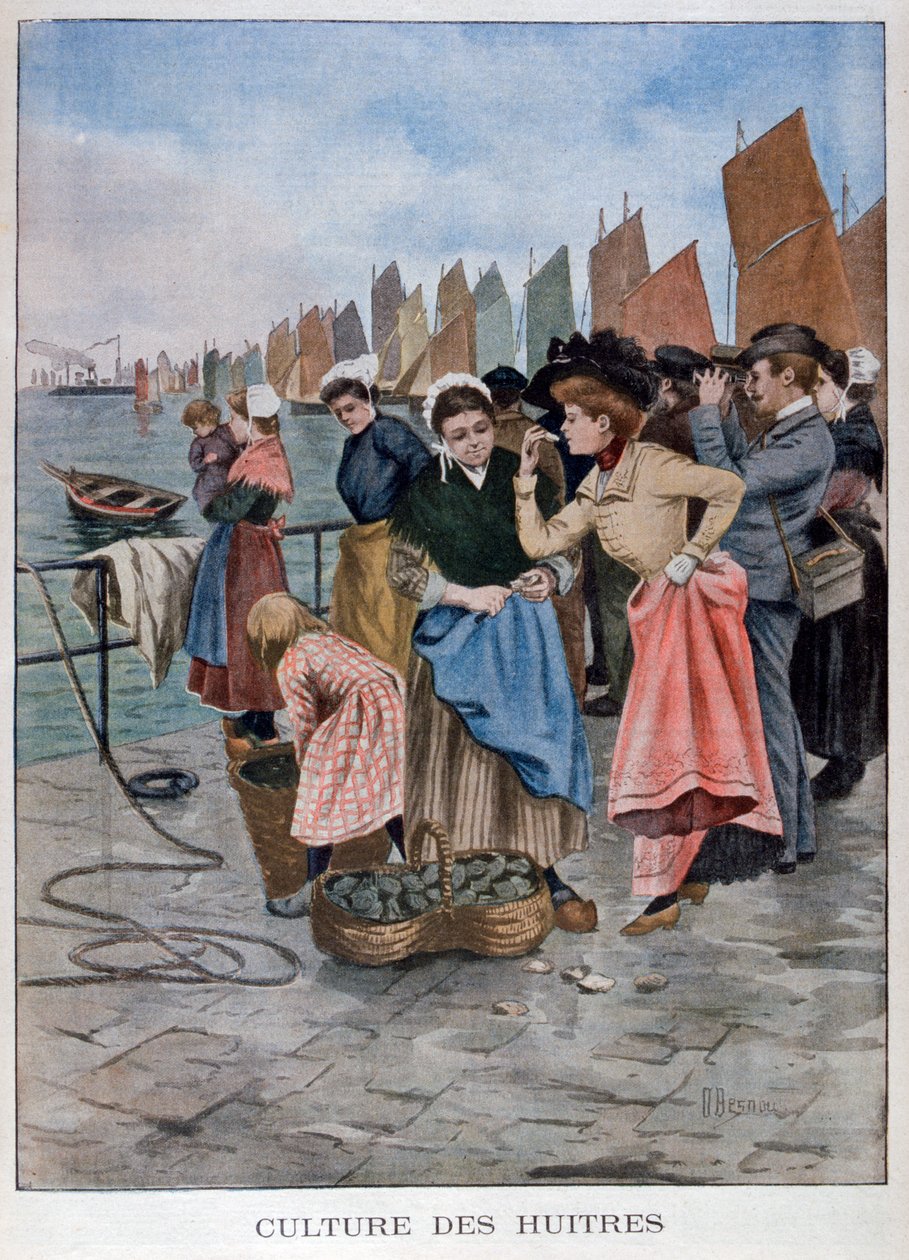 Østersselger, 1902 av Unbekannt