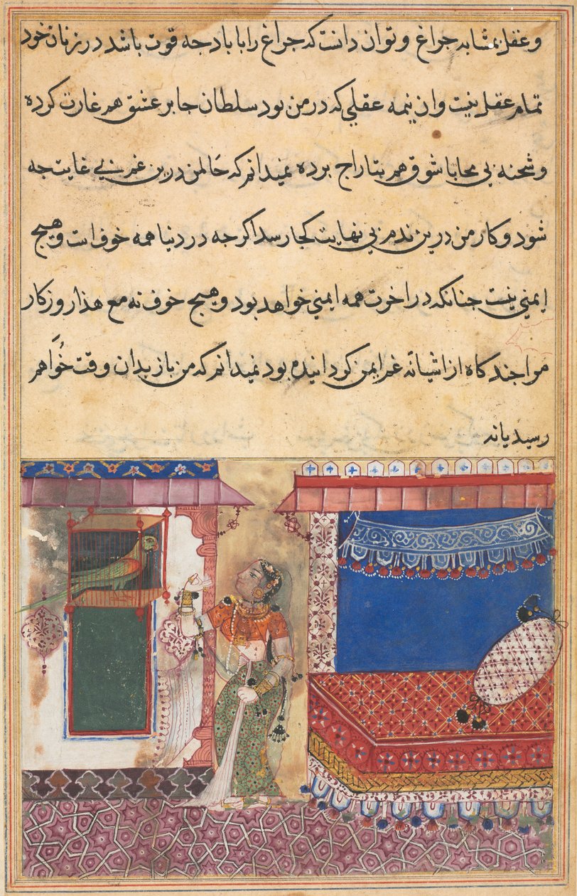 Side fra Tales of a Parrot Tuti-nama: Attende natt: Papegøyen henvender seg til..., ca. 1560. av Unbekannt
