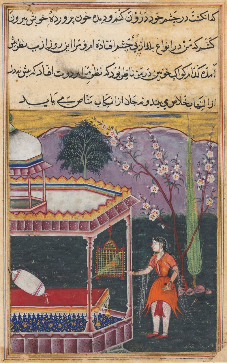 Side fra Tales of a Parrot Tuti-nama: Åttende natt: Papegøyen henvender seg til Khujasta..., 1558-1560. av Unbekannt