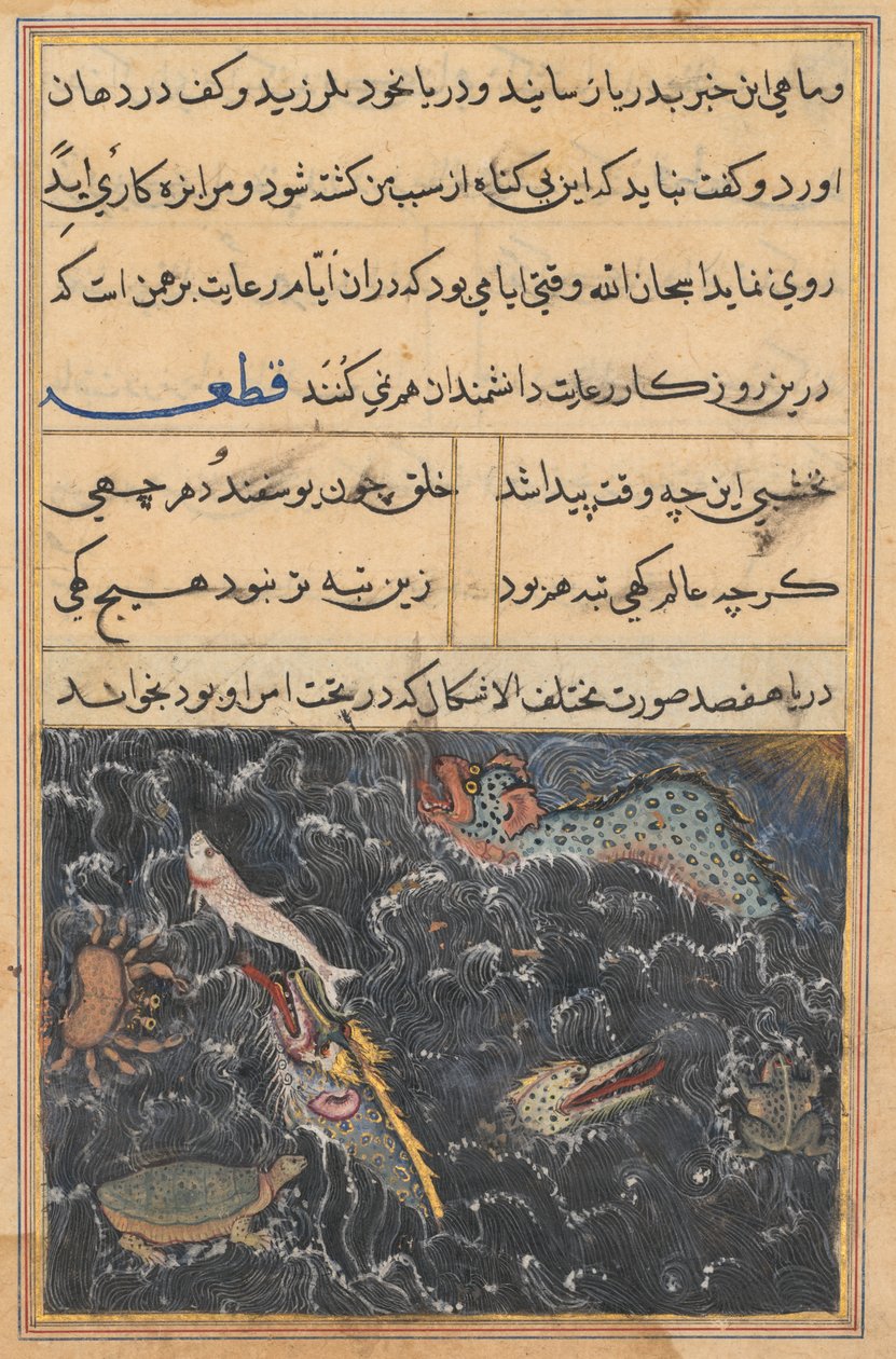 Side fra Tales of a Parrot Tuti-nama: Elvte natt: Havets skapninger, ca. 1560. av Unbekannt