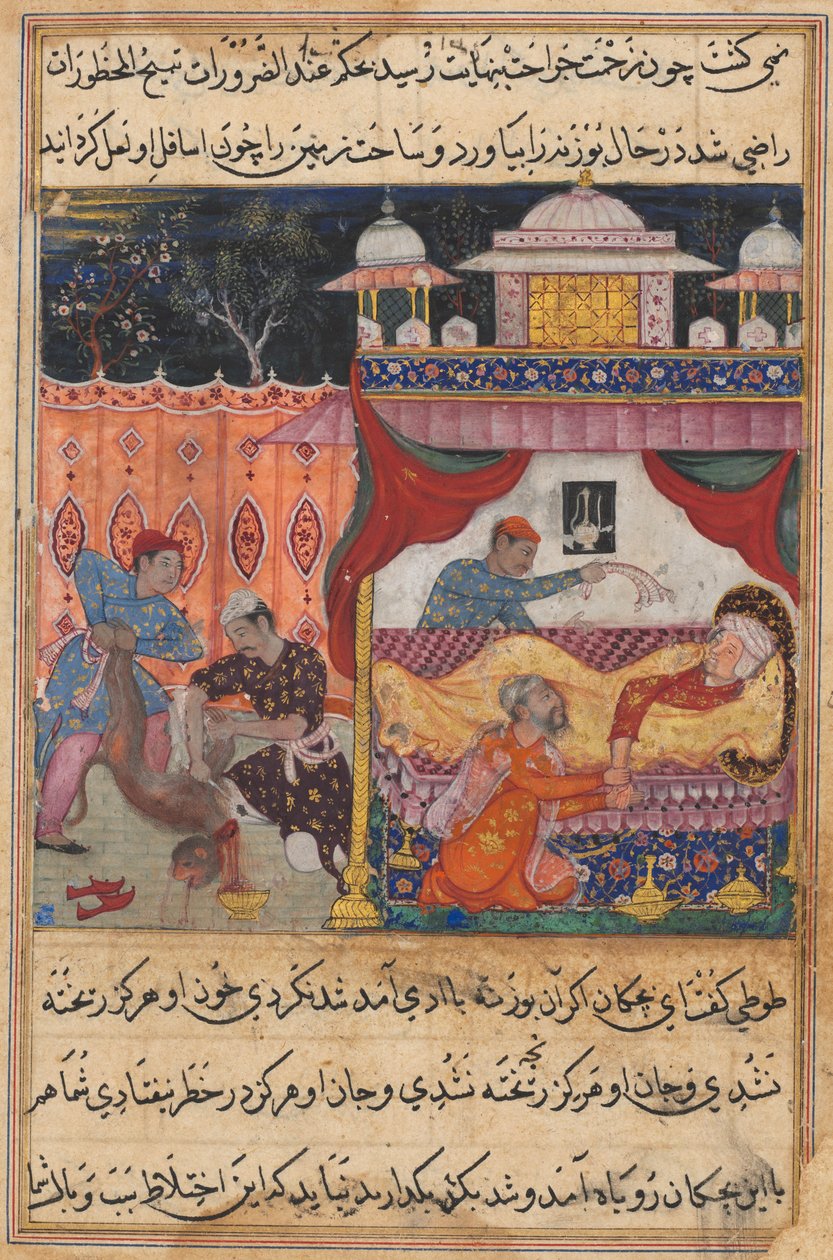 Side fra Tales of a Parrot Tuti-nama: Femte natt: Apen drept, hans blod..., ca. 1560. av Unbekannt