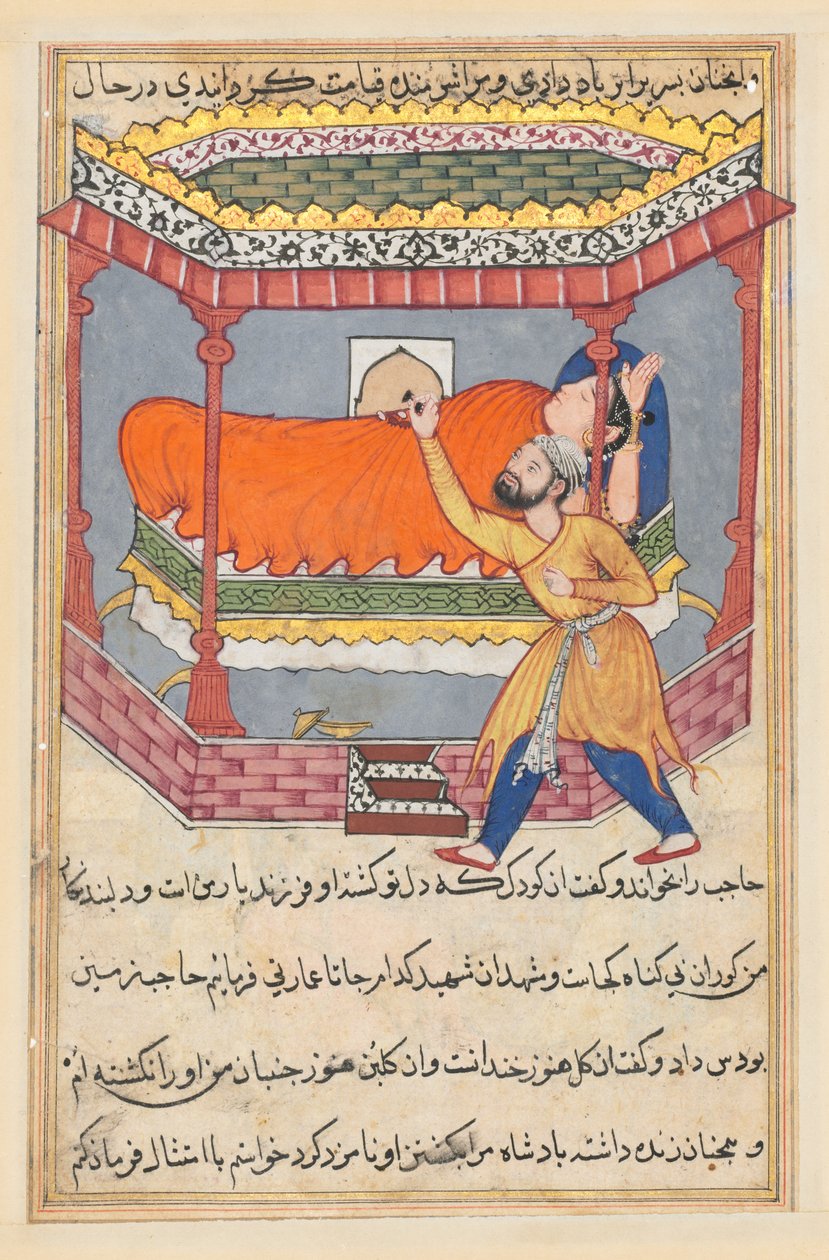 Side fra Tales of a Parrot Tuti-nama: Femtiende natt: Kongen plasserer talismanen..., ca. 1560. av Unbekannt