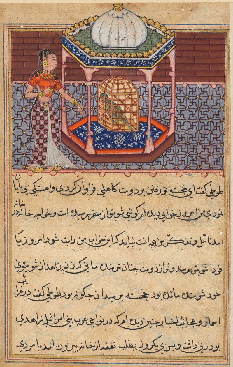 Side fra Tales of a Parrot Tuti-nama: Femtiandre natt: Papegøyen henvender seg til Khujasta..., c1560 av Unbekannt
