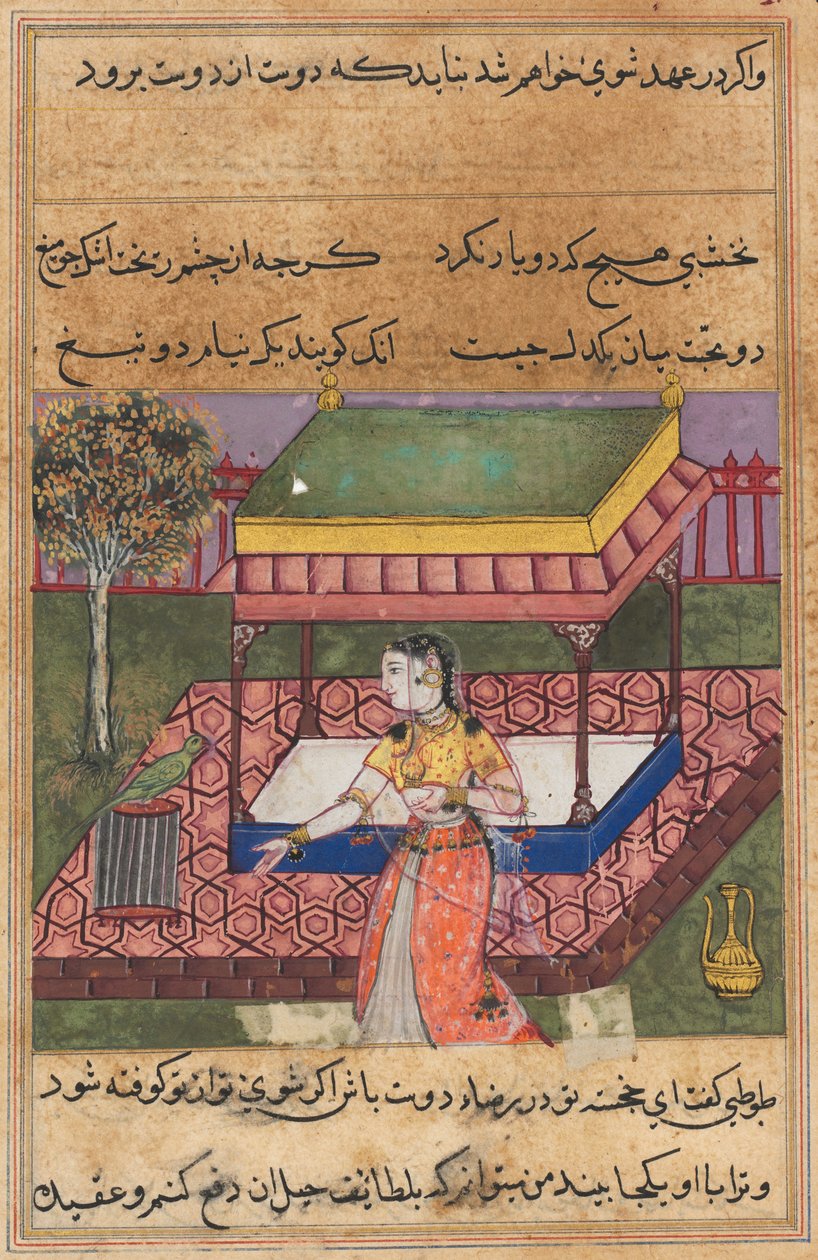 Side fra Tales of a Parrot Tuti-nama: Førtiende natt: Papegøyen henvender seg til Khujasta..., ca. 1560. av Unbekannt