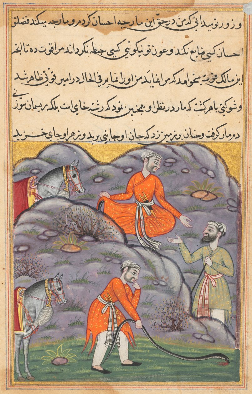 Side fra Tales of a Parrot Tuti-nama: Førti-femte natt: Amiren dreper slangen..., ca. 1560. av Unbekannt