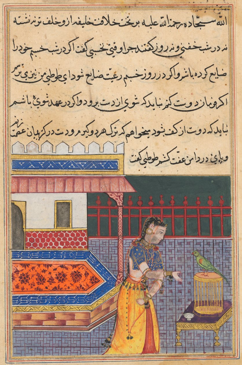 Side fra Tales of a Parrot Tuti-nama: Førtiførste natt: Papegøyen henvender seg til Khujasta..., ca. 156 av Unbekannt